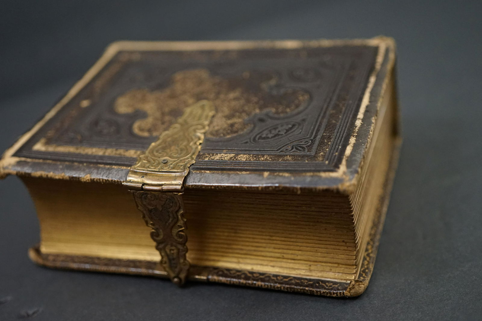 Victorian old album with 16 photos (1 of 20)