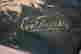 item-127735502=4