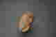 item-128298793=4