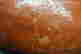 item-128370693=7