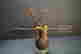 item-128621374=11