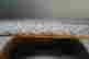 item-129709223=6