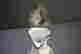 item-129731706=5