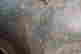 item-129744898=11