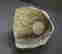 item-129745006=15