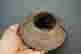 item-129750223=4