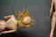 item-130249557=4