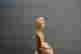 item-130289411=10