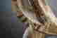 item-130294784=14