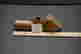 item-131297781=11
