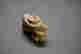 item-131297823=8