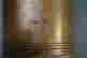 item-131297850=10