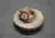 item-131437694=7