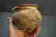 item-131437950=5