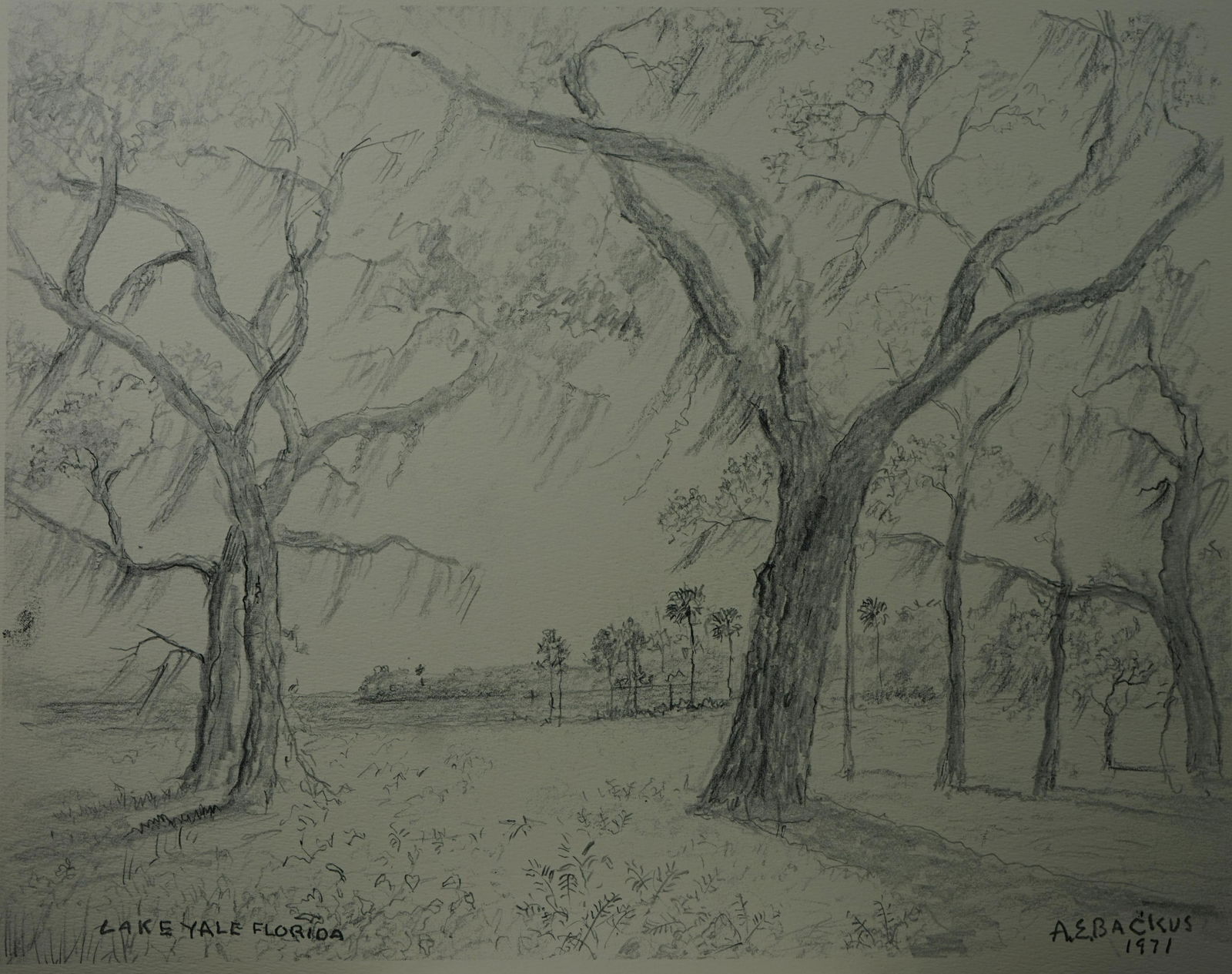 Albert Ernest (Beanie) Backus (American, 1906-1990) ,print , "Lake Yale,Florida (1 of 6)