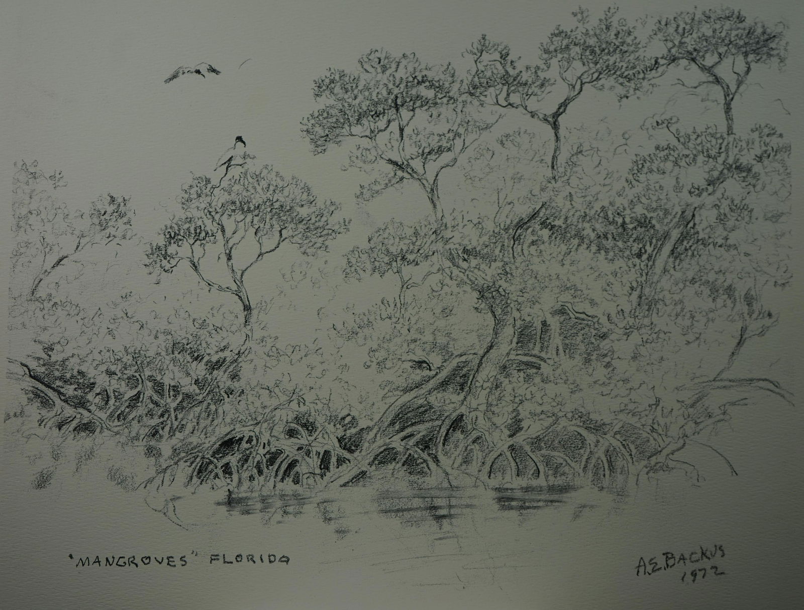 Albert Ernest (Beanie) Backus (American, 1906-1990) ,print , "Mangroves ,Florida" (1 of 4)