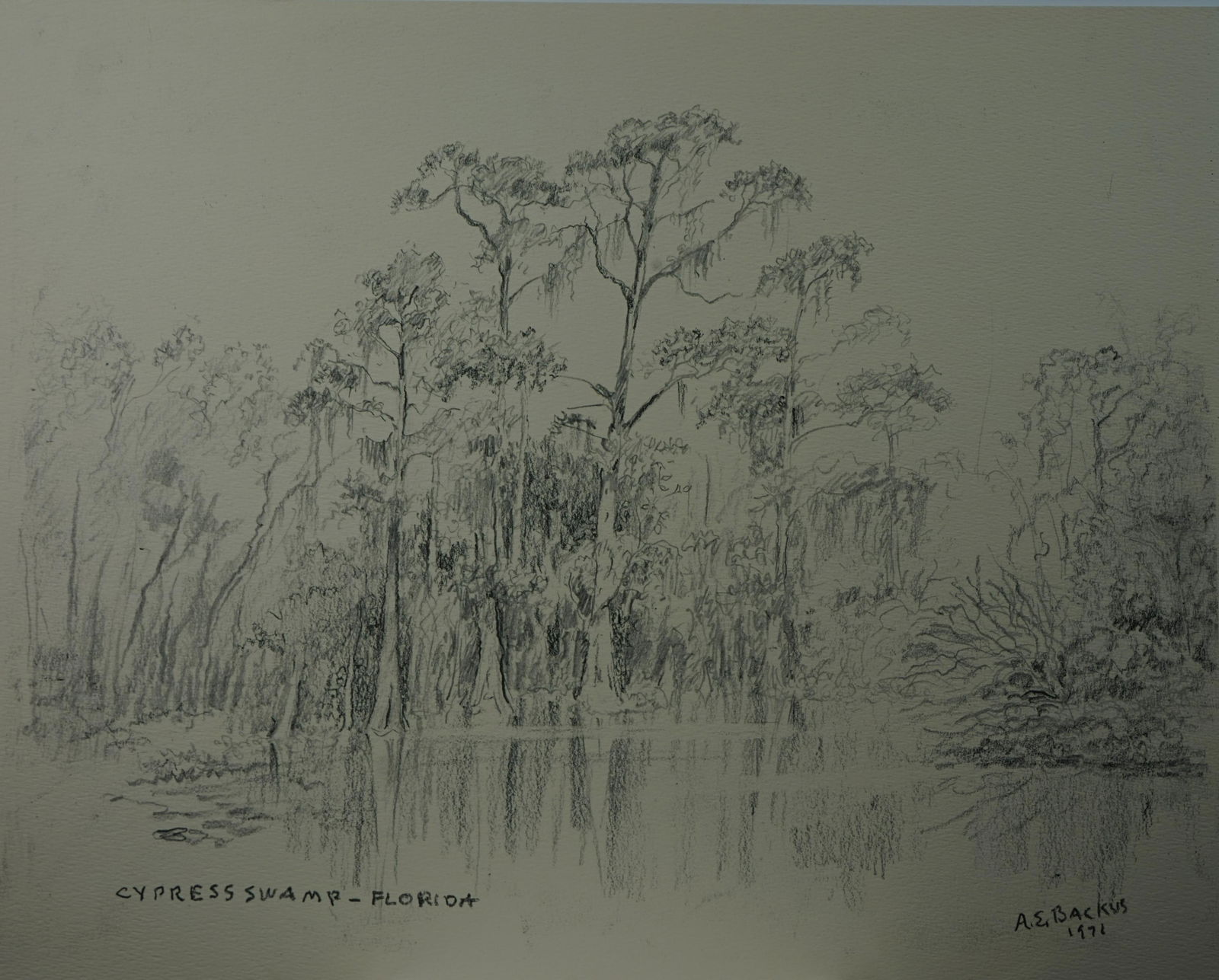 Albert Ernest (Beanie) Backus (American, 1906-1990) ,print , "cypress swamp ,Florida" (1 of 4)