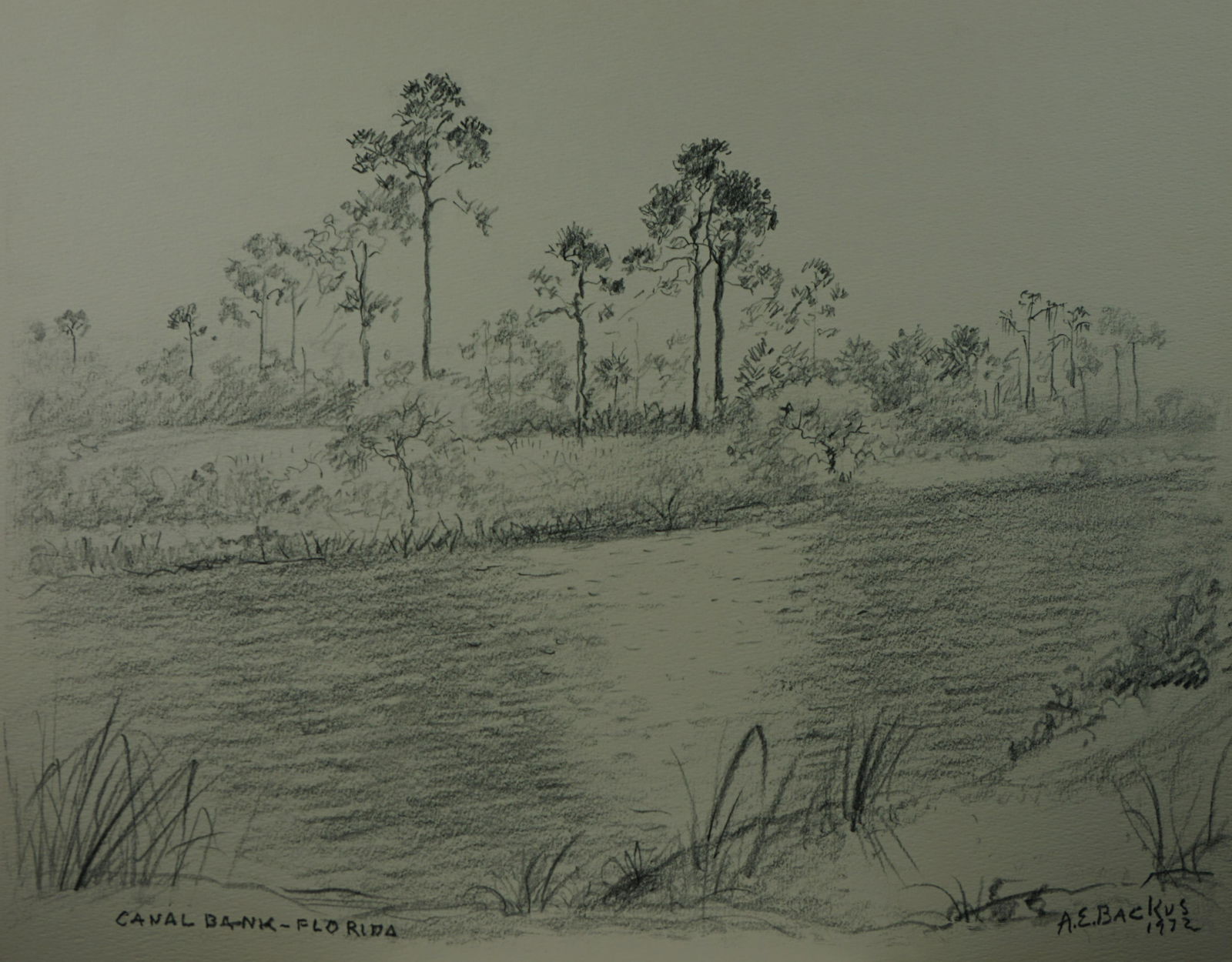 Albert Ernest (Beanie) Backus (American, 1906-1990) ,print , "canal bank , Florida" (1 of 5)