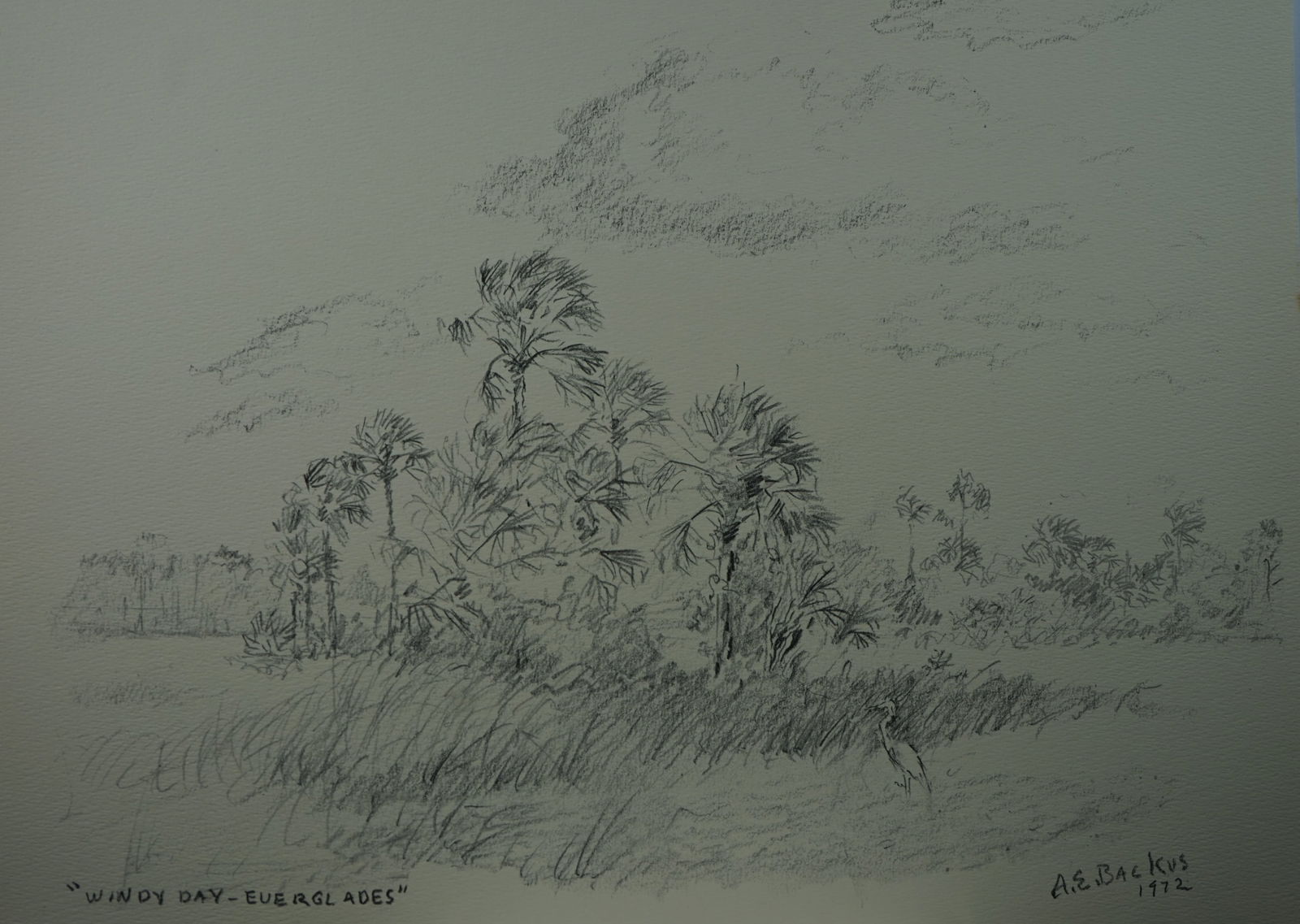 Albert Ernest (Beanie) Backus (American, 1906-1990) ,print , "Windy day Everglades" (1 of 5)