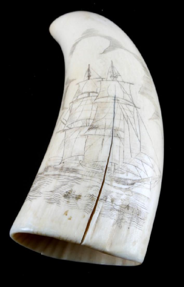ANTIQUE 19TH CENTURY WHALE SCRIMSHAW WHALING SCENE: Great whaling scene ship and whale, fractured , but does not detract, measures 6 inches on the curve. Over 100 years old and is accompanied with appraisal. We cannot ship international, please know yo
