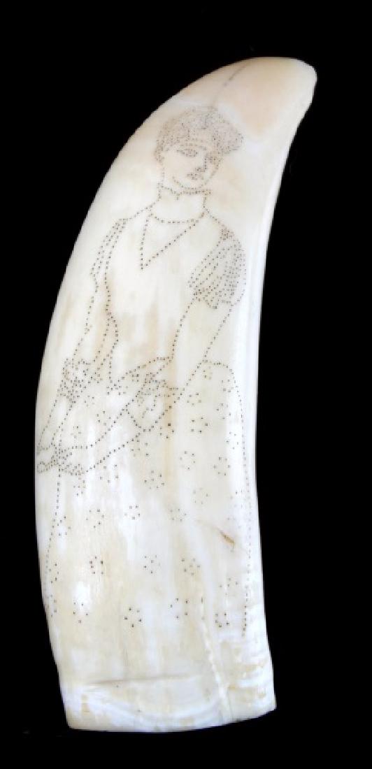 ANTIQUE 19TH CENTURY WHALE TOOTH SCRIMSHAW: Image of Victorian lady, old chip at point, measures 4 6/8 inches. Know your state laws, we will not ship internationally.