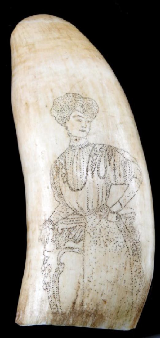 ANTIQUE 19TH CENTURY WHALE TOOTH SCRIMSHAW: Double image of Victorian woman, large damage free 7 inch tooth. We cannot ship international, please know your state laws prior to bidding. Over 100 years old and is accompanied with appraisal.