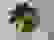 item-2375231=3
