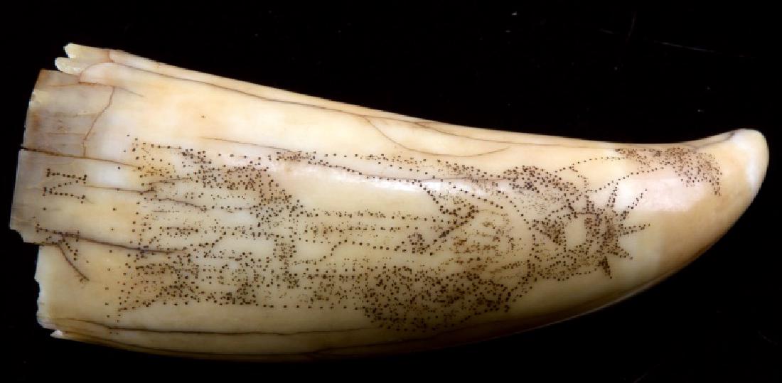 ANTIQUE 19TH CENTURY WHALE TOOTH SCRIMSHAW LIBERTY: Statue of Liberty over "NY" "Liberty" on reverse, measures 5 inches, significant age discoloration and hairlines throughout. Over 100 years old and is accompanied with an appraisal. We cannot ship int
