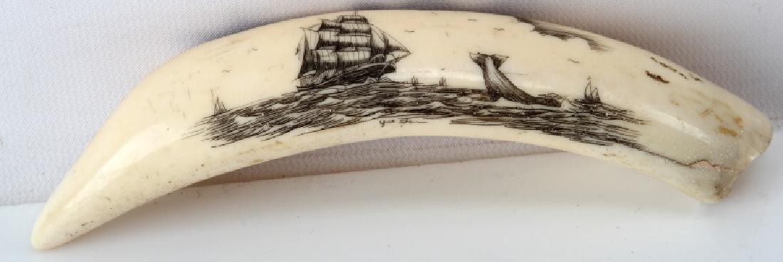 HIPPO TOOTH SCHRIMSHAW WHALING SCENE: Whaling scene signed by artist, measures 7 inches along the curve.