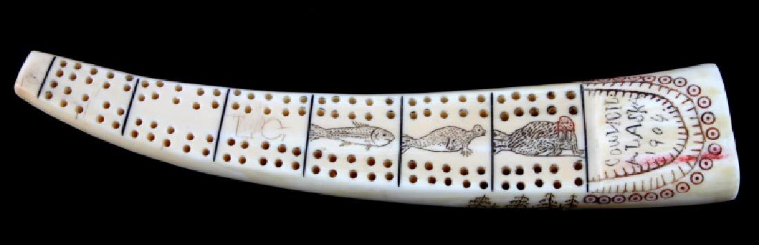 ALASKA SIGNED WALRUS TUSK CRIBBAGE SCRIMSHAW: Nice age coloration, Council Alaska 1904 and signed LG. Smaller piece 6 inches along the curve with a weight of 58 grams. Provenance Ex: Maurice Berger Baton Rouge collection. We cannot ship internati