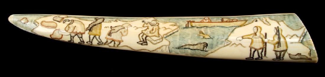 NATIVE AMERICAN WALRUS TUSK SCRIMSHAW: Alaska Native American scrimshaw. Measures 14 inches with a weight of 488 grams. Provenance Ex: Maurice Berger, Baton Rouge collection. We cannot ship international and please know your state laws pri