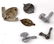 WWII GERMAN DRESDEN TIN CANNISTER AND PINS - 5