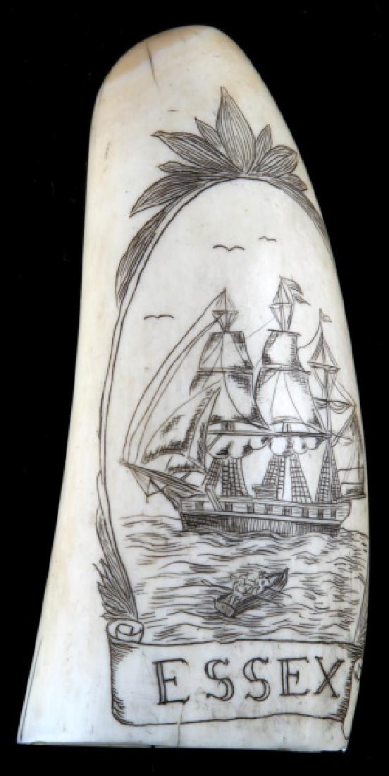 ANTIQUE SCRIMSHAW SAILING VESSEL WARSHIP ESSEX: Smaller tooth 4 inches along the curve with a weight of 130 grams. Pleasing age patina. Provenance Ex: Memphis pre 1972 collection. We cannot ship international and please know your state laws prior t
