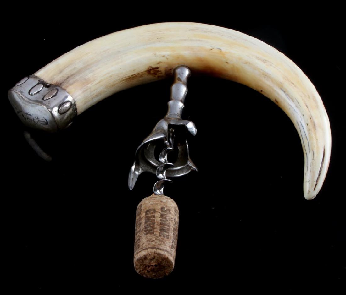 ANTIQUE BOAR TUSK & SILVER CORKSCREW: Large tusk measuring 11 inches, the silver cap is not marked sterling and could be plate. Nice age patina.
