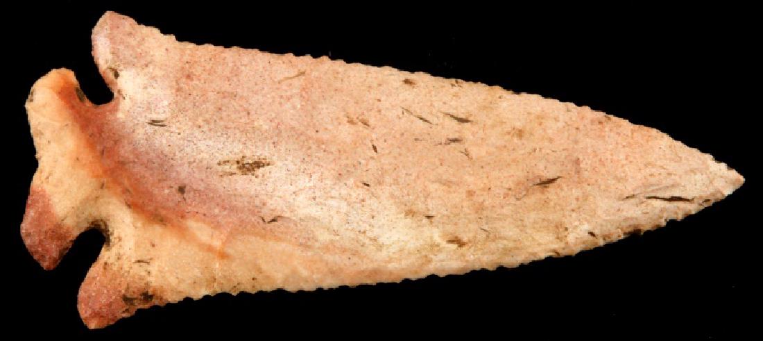 EARLY ARCHAIC LOST LAKE ARROWHEAD POINT SERRATED: Excellent parallel flaking, symmetry, serrated edges, patina wear and beautiful color. Grade 10. Measures 3.75 inches. Very good condition.