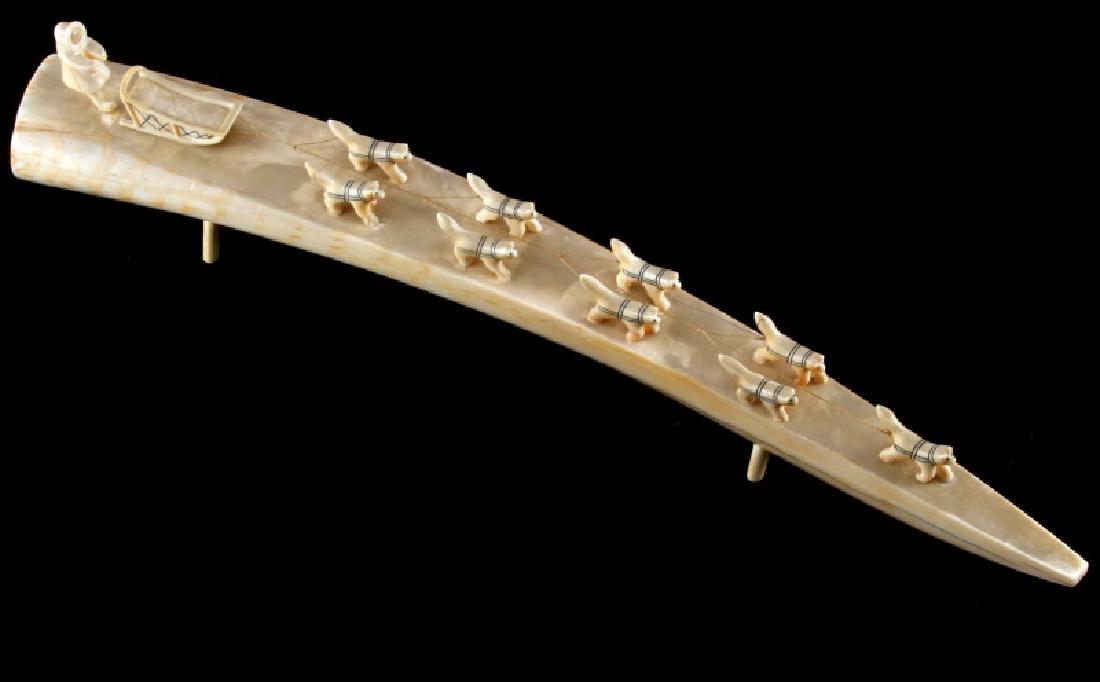 NATIVE AMERICAN SIGNED & DATED WALRUS TUSK ART: Sled dogs and driver mounted on walrus tusk, signed on bottom and dated 1971, measures 20 inches and is very good condition, well crafted. We do not ship international, and please know your state regu