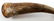 DEDICATED SCRIMSHAW POWDER HORN 4TH ARTILLERY 1842 - 2