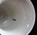 GERMAN 1936 BERLIN OLYMPICS PORCELAIN BELL - 5