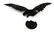 WWII GERMAN THIRD REICH GERMAN EAGLE HANGER - 4