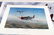 ASSORTED LIMITED EDITION SIGNED AVIATION ART PRINT - 6