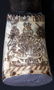 SEVEN YEAR WAR GEORGIAN SCRIMSHAW POWDER HORN - 4
