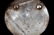 NATIVE AMERICAN ENGRAVED SILVER TRADE ERA PENDANT - 2
