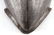 16TH CENTURY CONQUISTADOR SPANISH BREASTPLATE - 3