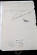 MUSSOLINI AND KING SIGNED ITALIAN ARMY ROSTER BOOK - 4