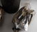 LOT OF 4 WWII GERMAN GAS MASK & 1 CONTAINER - 4