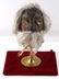 TSANTSA ECUADORIAN SHRUNKEN HEAD REPRODUCTION