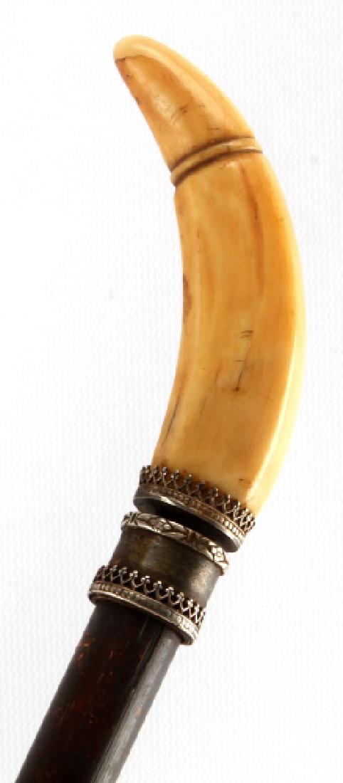 19TH CENTURY WHALE SCRIMSHAW GRIP SWORD CANE STICK: Very nice Orca tooth scrimshaw grip with sterling wrap throat, short sword grooved dagger, tooth measures 4 inches along the curve and combined with blade measures13.5 inches, overall length is 36 inc