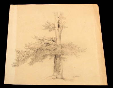 ADOLF HITLER SIGNED PENCIL SKETCH WITH COA: Pencil sketching of a tree, signed by Adolf Hitler. Measures roughly 10x11 inches. Includes a Coa from forensic handwriting examiner Frank Garo.