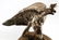 IMPERIAL GERMAN PRUSSIA GUARD EAGLE OFFICER HELMET - 4