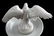 WWII GERMAN THIRD REICH PORCELAIN EAGLE AND PLATE - 4